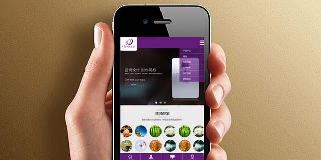 微信网站建设需要注意哪些问题? 微信网站建设需要注意哪些问题?